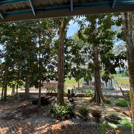 Homestay Dusun Ana Balun Slim River Exterior foto
